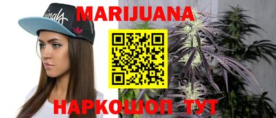 прущие грибы Ставрополь