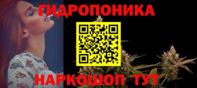 прущие грибы Ставрополь